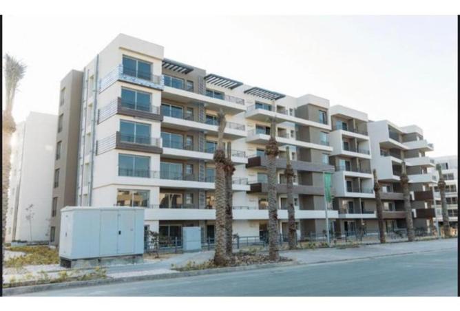 8618324 - Property Image 3