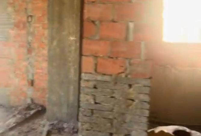 8706125 - Property Image 3