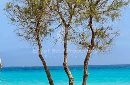 Chalet - 3 Bedrooms - 3 Bathrooms for sale in Marsa Baghush - Qesm Marsa Matrouh - North Coast Chalet - 3 Bedrooms - 3 Bathrooms for sale in Marsa Baghush - Qesm Marsa Matrouh - North Coast