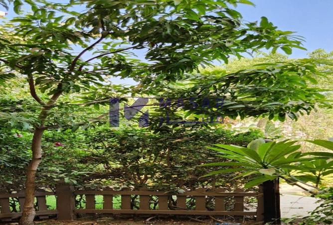 8571508 - Property Image 3