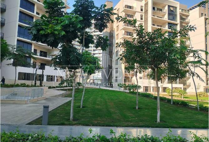 97724816 - Property Image 2