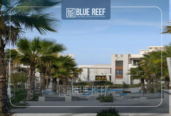 70098260 - Property Image 3