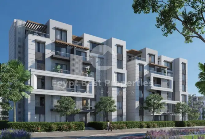 118551158 - Property Image 3