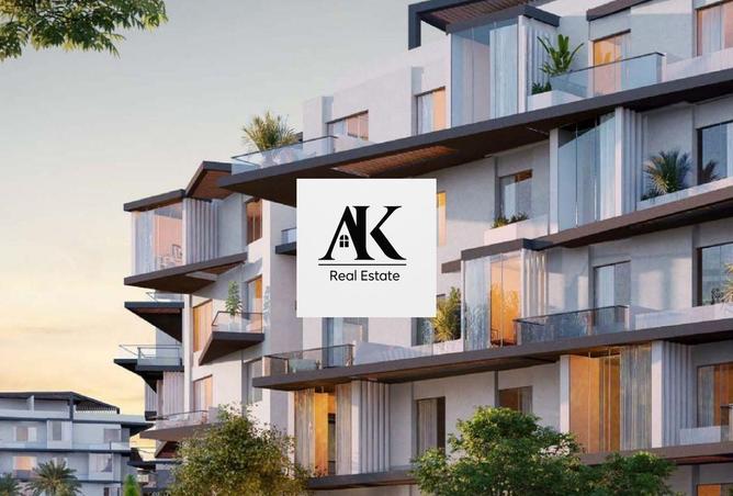 8630382 - Property Image 3