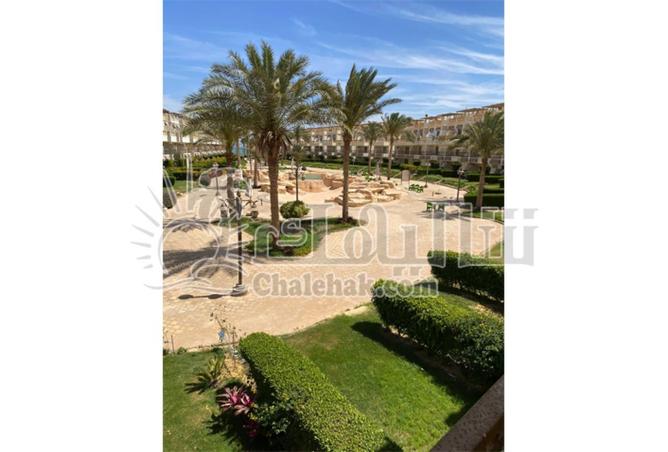 8586377 - Property Image 3