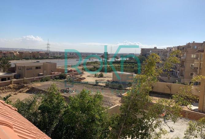 81315851 - صورة العقار 3