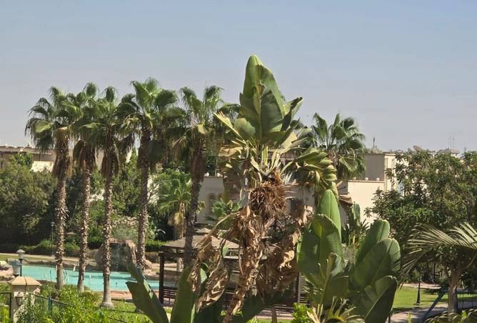 107966666 - الصورة الرئيسية للعقار