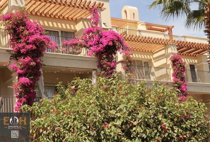 56249836 - صورة العقار 2