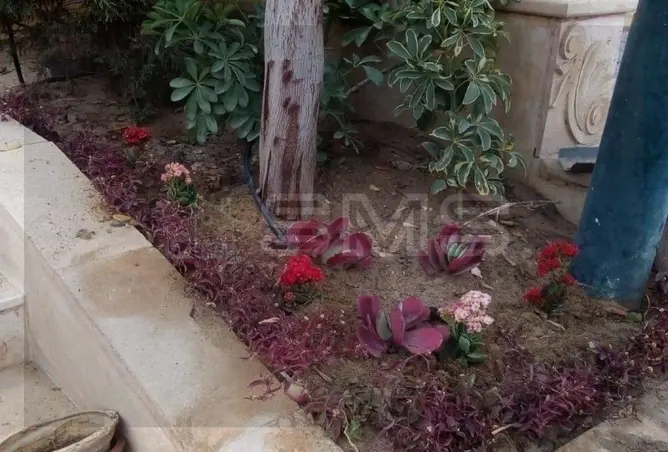 115180709 - Property Image 3