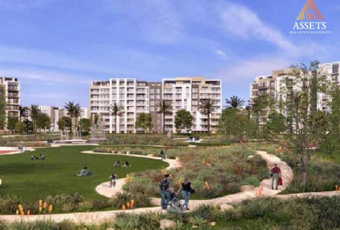 62410135 - Property Image 3