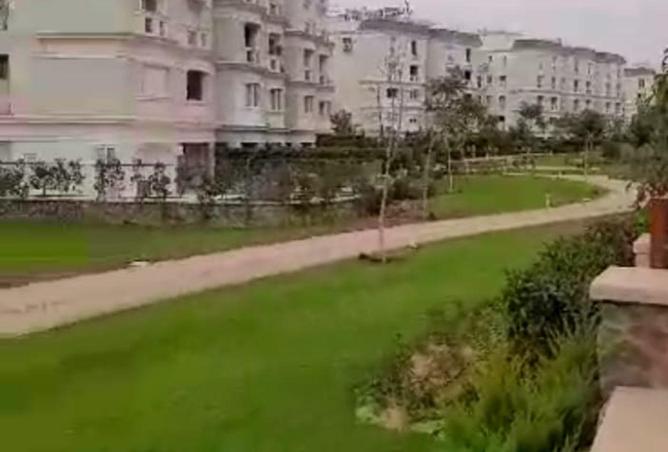 54489753 - Property Image 3