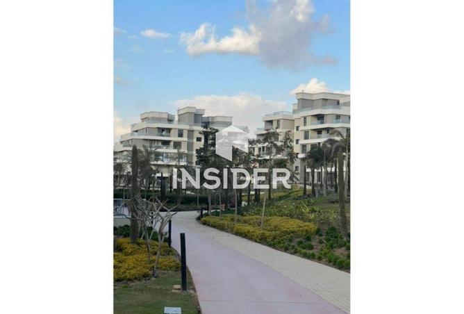 62411747 - Property Main Image