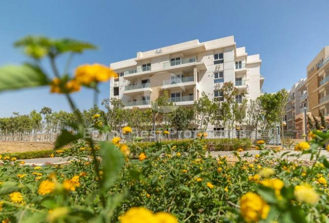 8571651 - صورة العقار 2