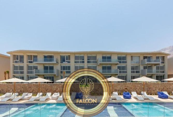 8588027 - صورة العقار 3