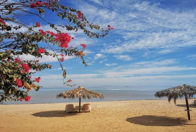 68533550 - الصورة الرئيسية للعقار