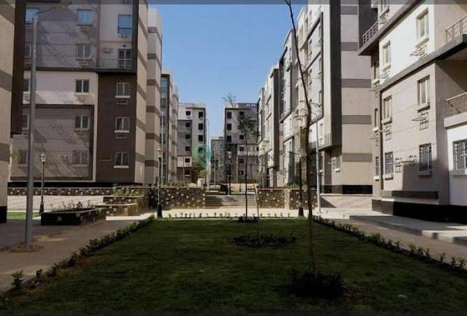 74307790 - صورة العقار 2