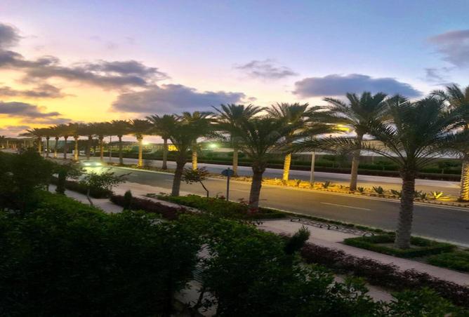 62647263 - Property Main Image