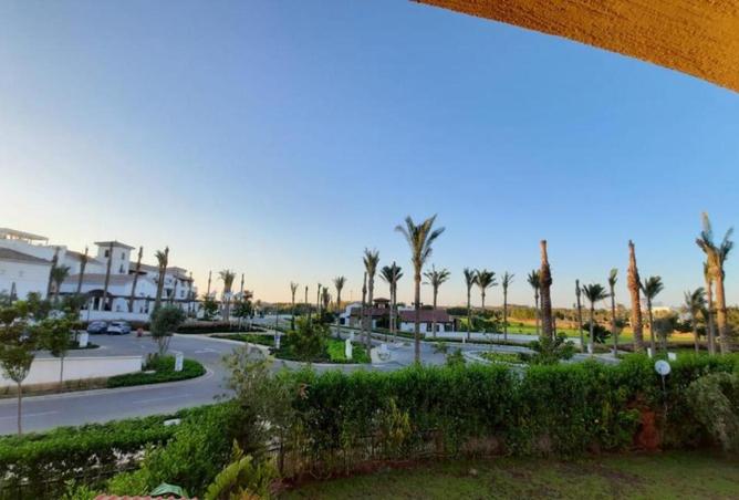 62647263 - Property Image 3