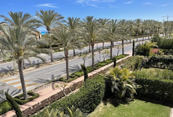 62647263 - Property Image 2