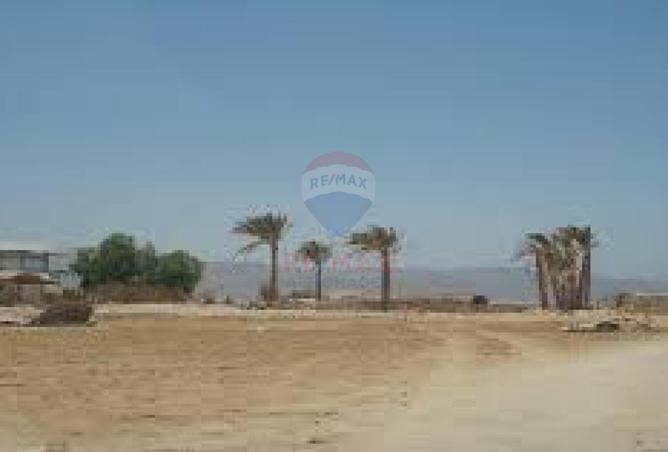 8718093 - صورة العقار 3