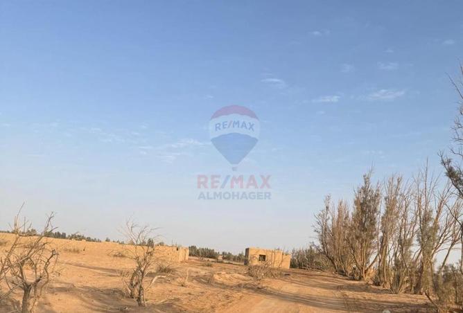 8718093 - صورة العقار 2