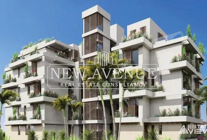 58250550 - صورة العقار 2