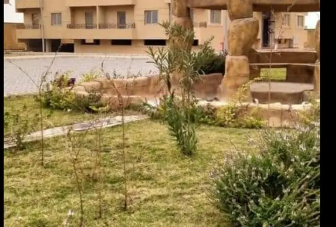 114619825 - Property Image 3