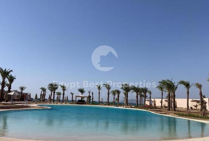 59491727 - صورة العقار 2