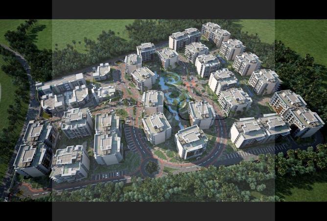 97139628 - Property Image 2