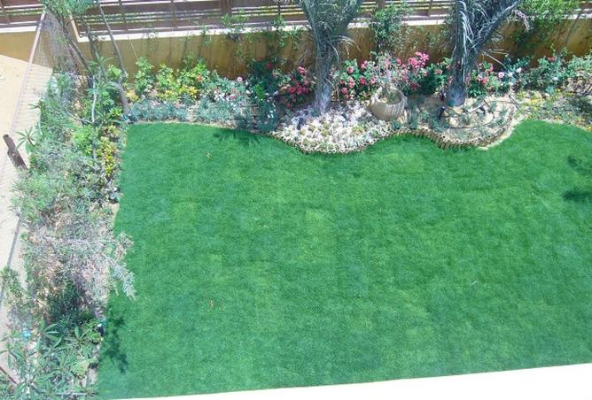 56256141 - صورة العقار 3