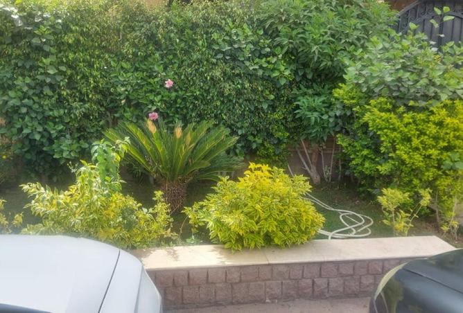 55256923 - صورة العقار 2