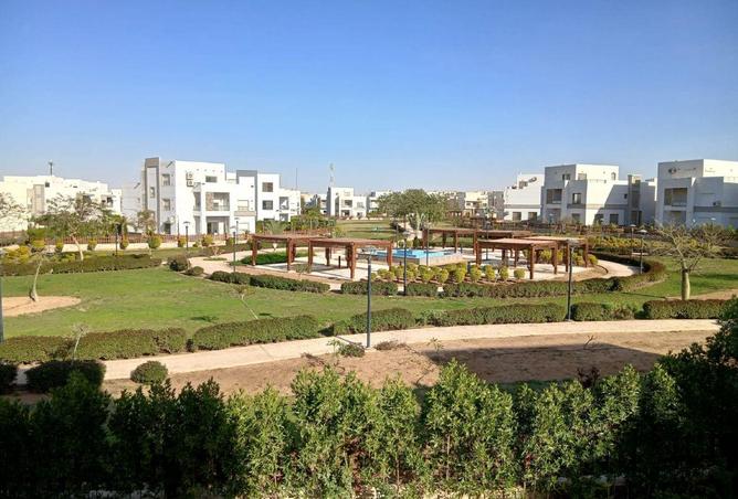 74036786 - الصورة الرئيسية للعقار