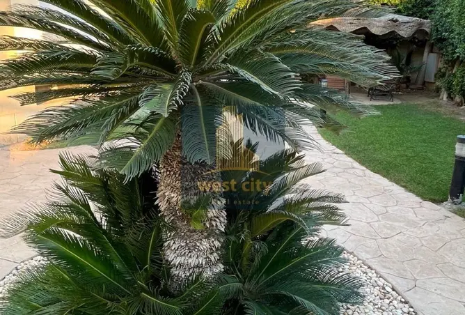 112989552 - Property Image 2