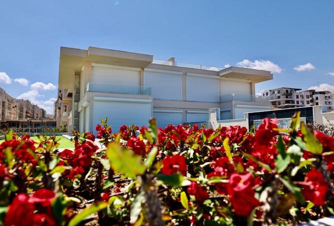 63396461 - Property Image 3