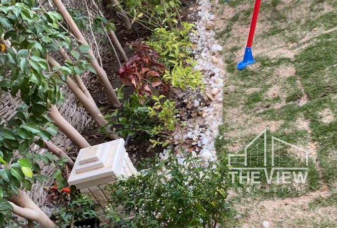 64910244 - صورة العقار 3