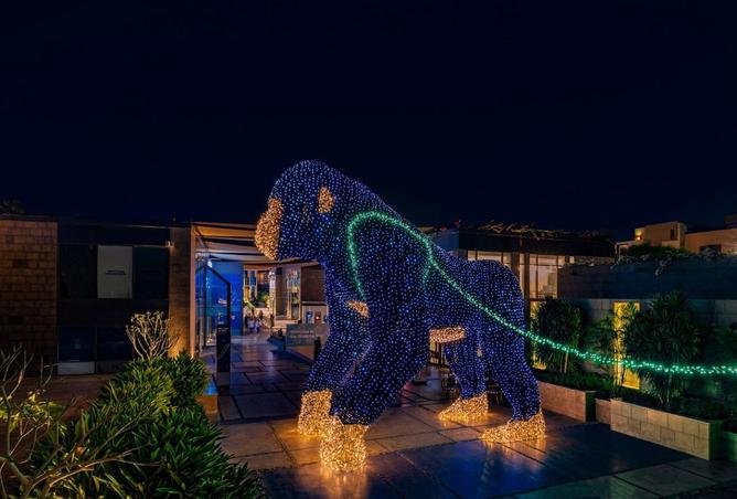 8626326 - صورة العقار 3