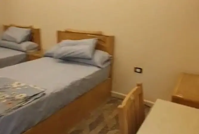 99116069 - Property Image 3