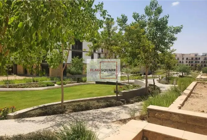 120355747 - Property Image 3