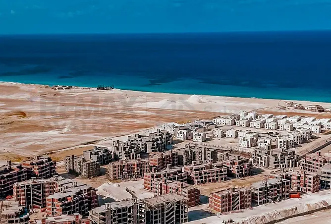 94371315 - صورة العقار 2