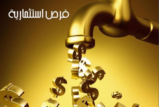 8569433 - صورة العقار 3