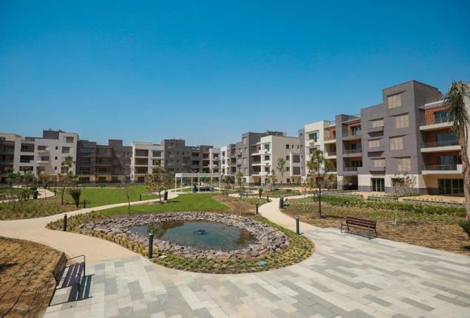 66427365 - Property Image 3