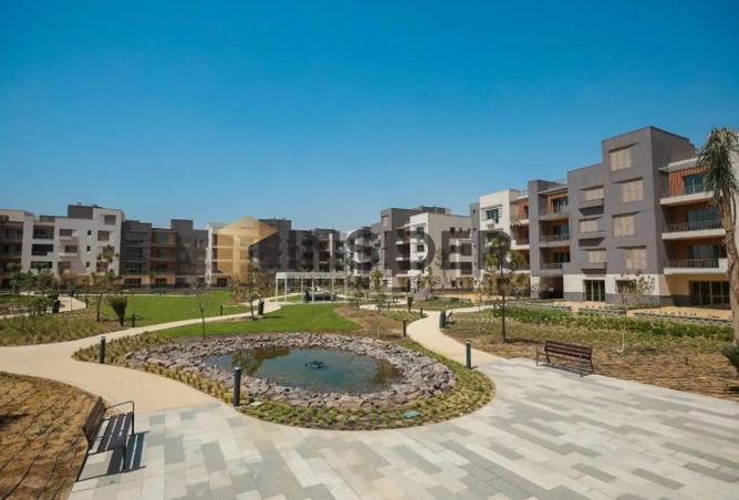 57240009 - Property Image 2