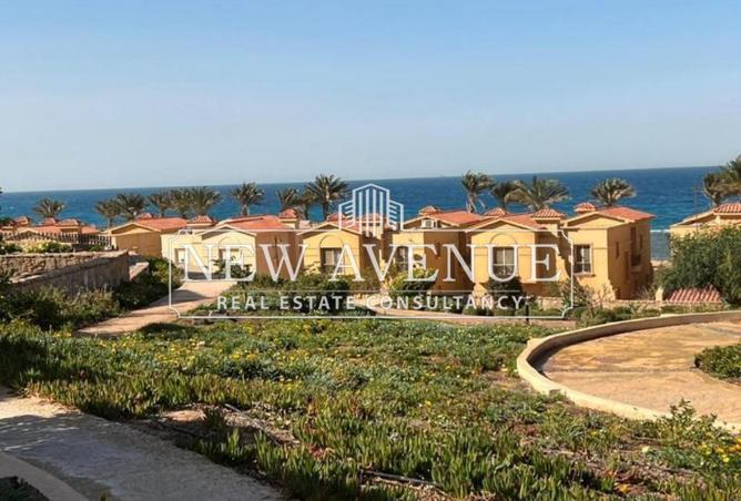 58242639 - Property Main Image