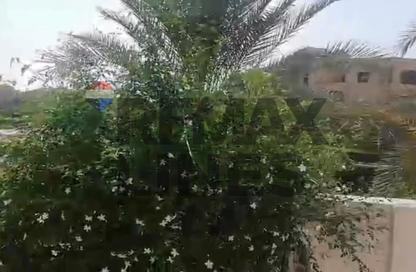 شقة - 3 - 2 للبيع في المجاورة الخامسة - المنطقة التاسعة - مدينة الشروق - القاهرة