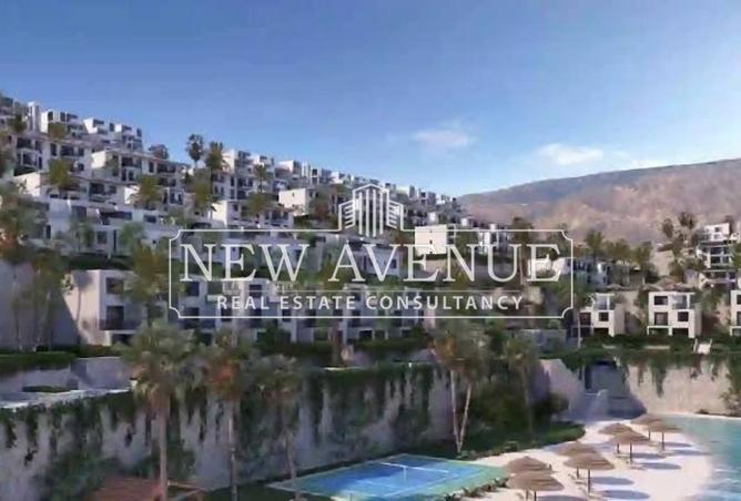 8600629 - Property Image 3