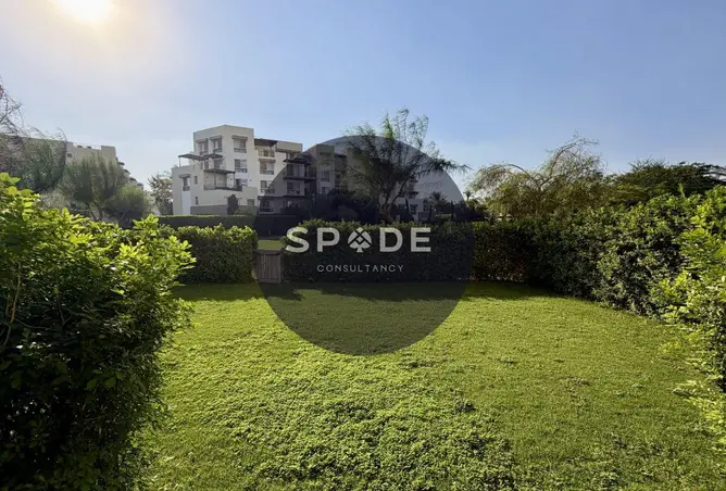 113826256 - Property Image 3