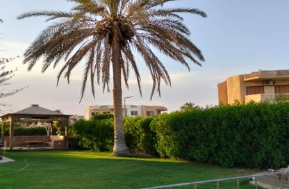 Chalet - 1 Bedroom - 1 Bathroom for sale in Amigo 3 - Amigo - Al Ain Al Sokhna - Suez Chalet - 1 Bedroom - 1 Bathroom for sale in Amigo 3 - Amigo - Al Ain Al Sokhna - Suez