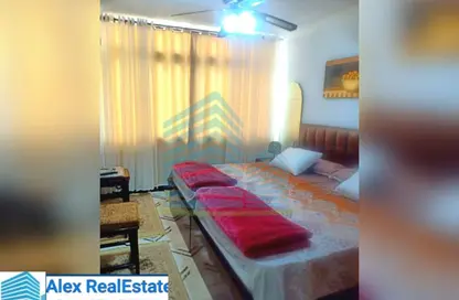 شقة - غرفة نوم - 1 حمام للايجار في شارع رشدي - رشدي - حي شرق - الاسكندرية