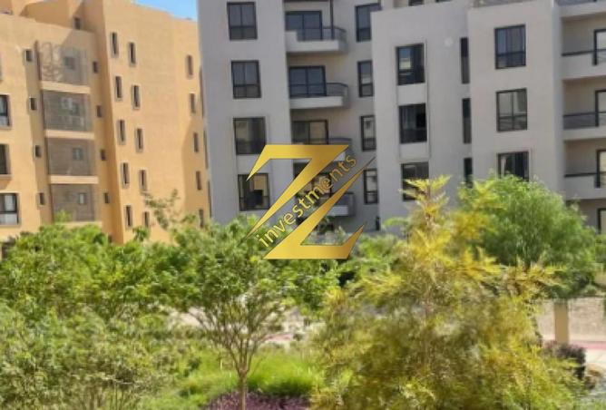 66687496 - Property Image 2