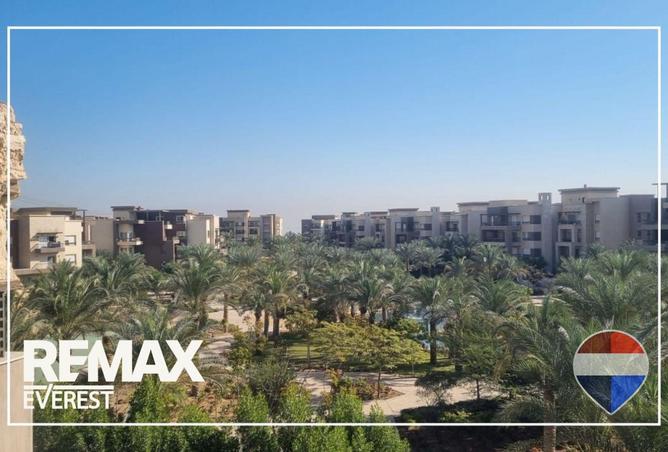 67214696 - Property Image 3